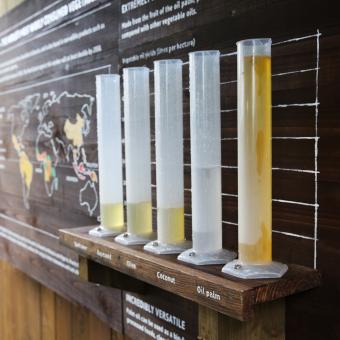 Palm oil exhibit in Rainforest Biome at Eden Project